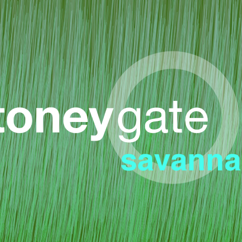 Stoneygate Savannah