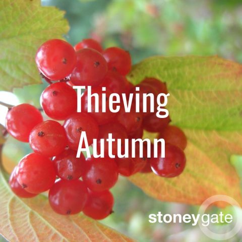 Thieving Autumn: a folky, nostalgic playlist for the season of mists and mellow fruitfulness.