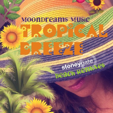 Tropical Breeze Stoneygate Beach Remixes Album Cover